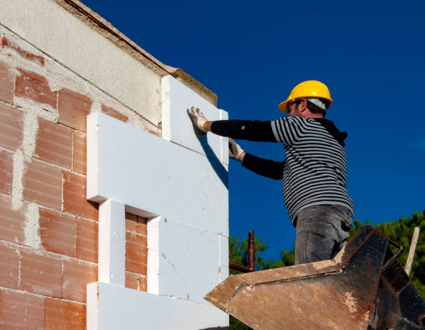 Best Crawl Space Insulation  in Springville, AL