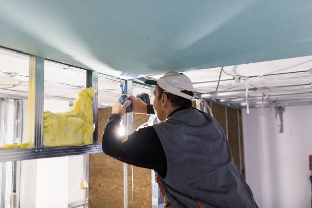 Best Attic Insulation Installation  in Springville, AL
