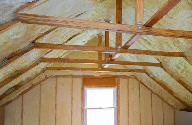 Best Insulation for New Construction  in Springville, AL