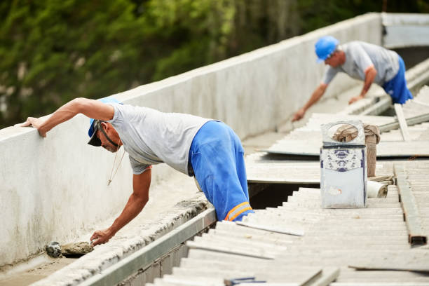 Best Insulation Removal  in Springville, AL