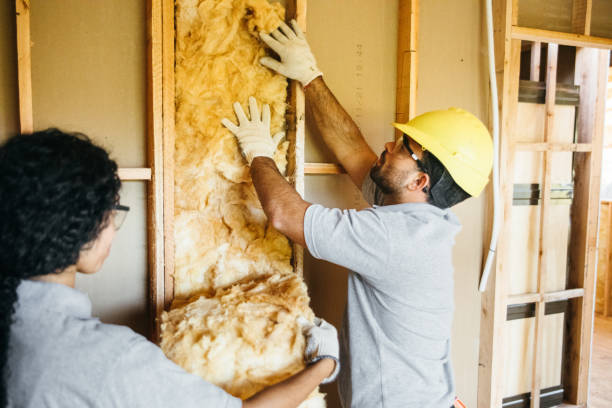 Best Insulation Replacement Services  in Springville, AL