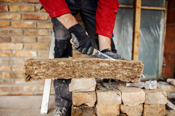Best Insulation Repair Services  in Springville, AL